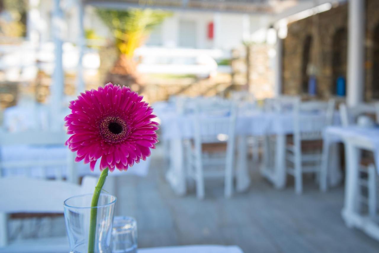 Villa Irini Platis Gialos  Kültér fotó